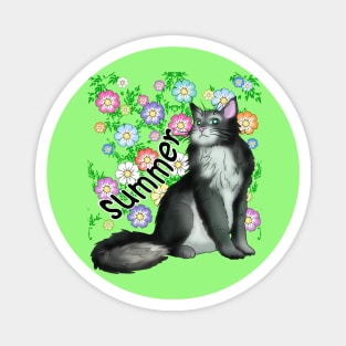 A black and white cat for Summer Magnet